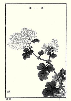 photo19.jpg