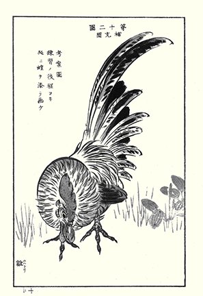photo24.jpg