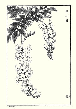 photo25.jpg