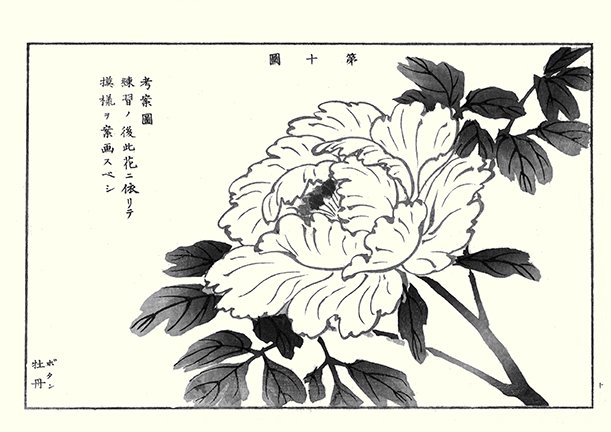 photo27.jpg