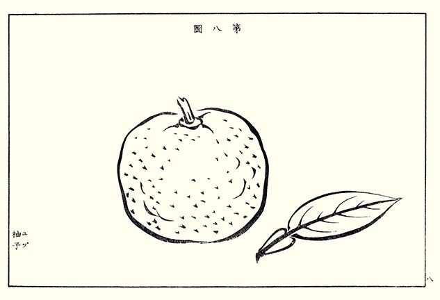 photo4.jpg