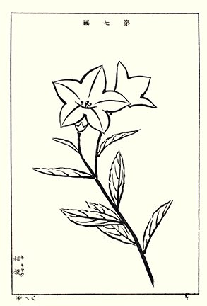 photo7.jpg