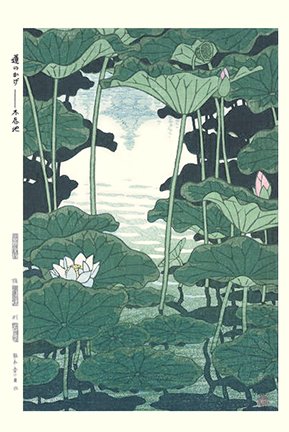 photo13.jpg