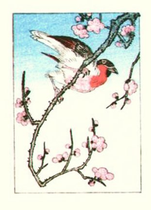 photo19.jpg