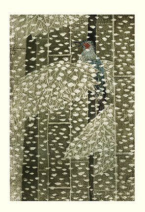 photo37.jpg
