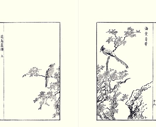 photo22.jpg