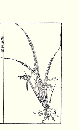 photo25.jpg
