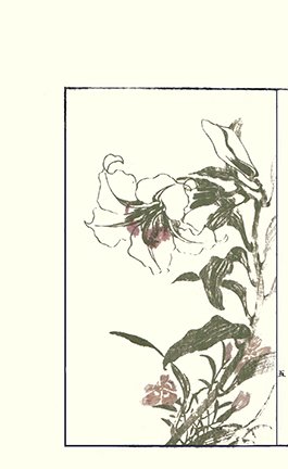 photo29.jpg