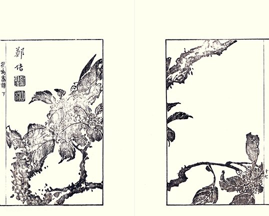 photo43.jpg