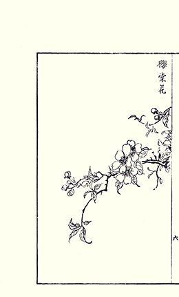 photo9.jpg