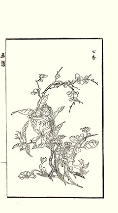 photo36.jpg