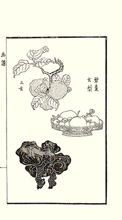 photo38.jpg