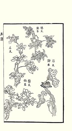 photo43.jpg