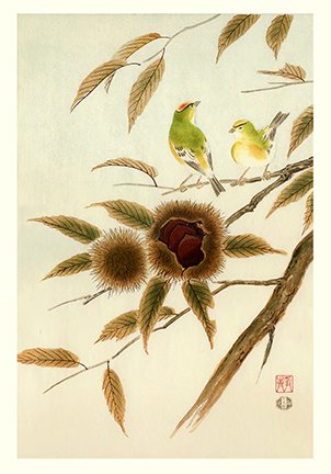 photo14.jpg
