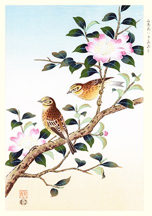 photo15.jpg