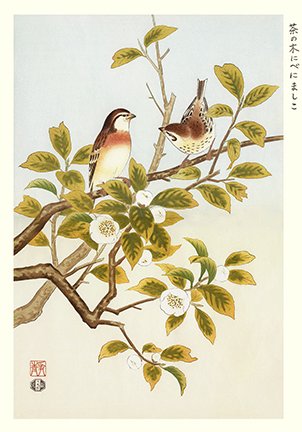 photo17.jpg