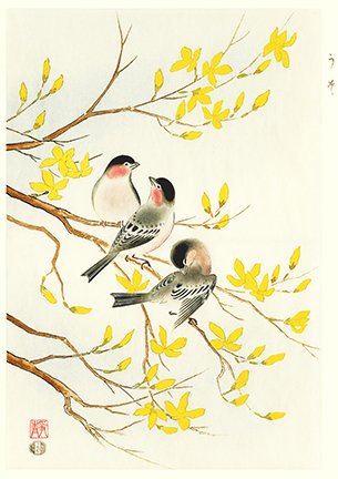 photo19.jpg