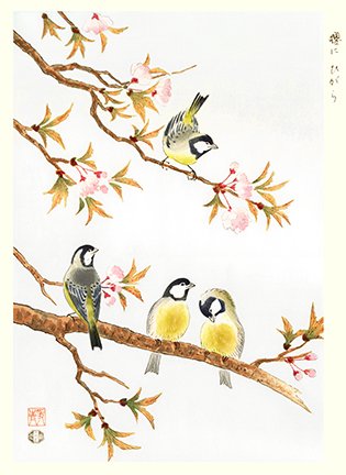 photo21.jpg