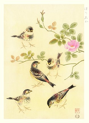 photo22.jpg