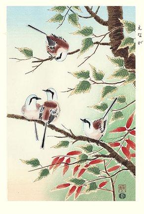 photo29.jpg