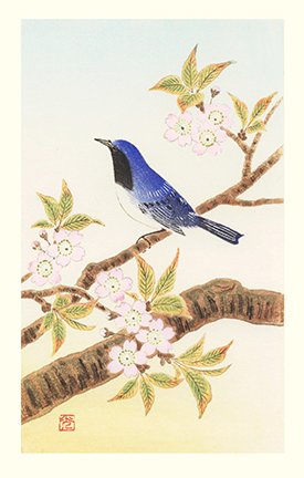 photo3.jpg