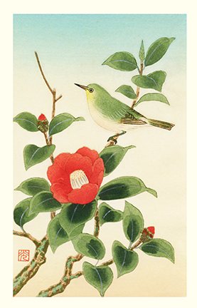 photo5.jpg