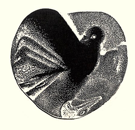 photo7.jpg