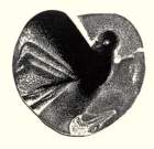 photo7_small.jpg