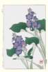 photo126_small.jpg