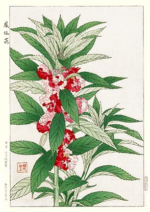 photo26.jpg