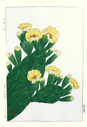 photo30.jpg