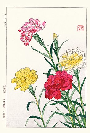 photo34.jpg
