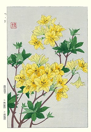 photo38.jpg