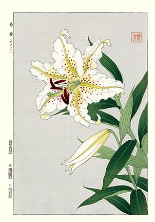 photo49.jpg