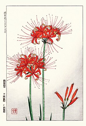 photo5.jpg