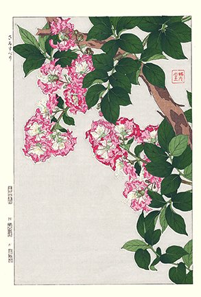 photo57.jpg