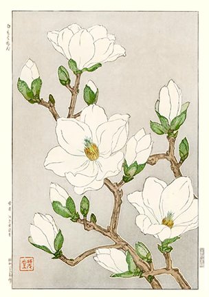 photo60.jpg