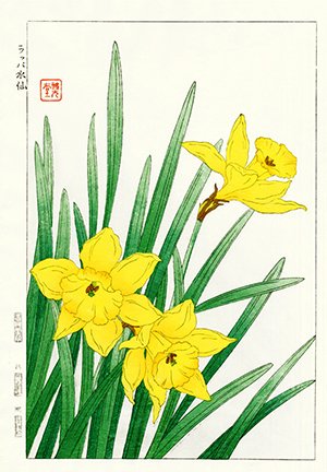 photo7.jpg