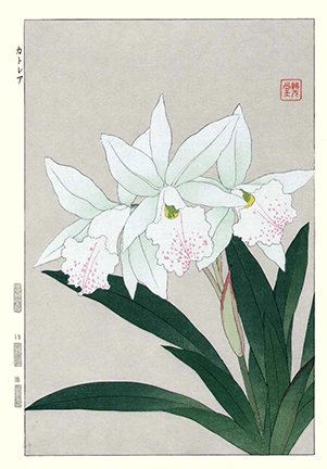 photo76.jpg