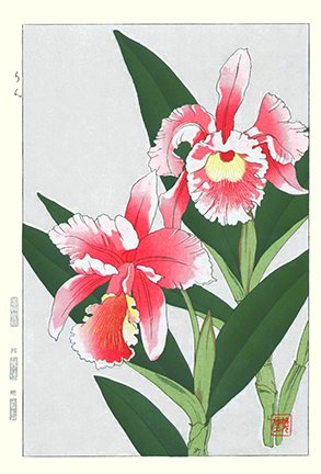 photo79.jpg