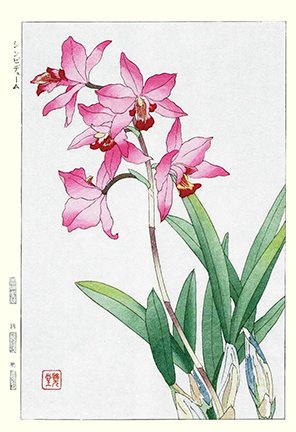 photo81.jpg