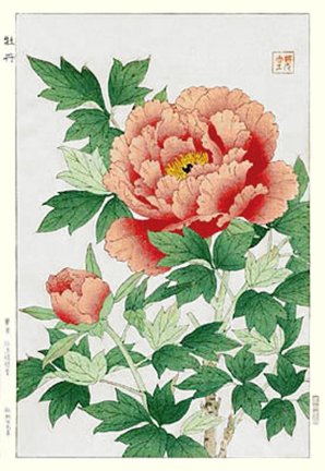 photo91.jpg