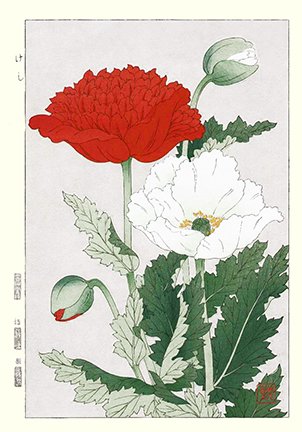 photo93.jpg