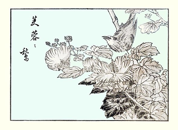 photo9.jpg
