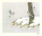 photo178_small.jpg
