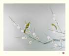 photo183_small.jpg