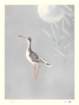 photo187_small.jpg