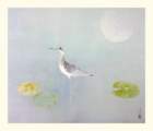 photo190_small.jpg