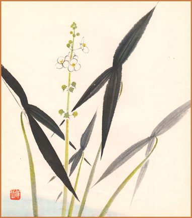 photo10.jpg