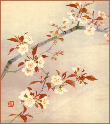 photo3.jpg